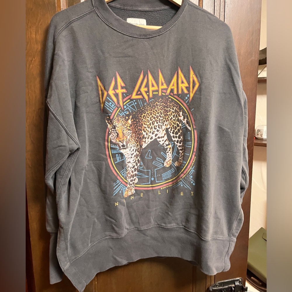 Abercrombie & Fitch Gray Sweatshirt